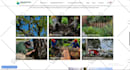 build wordpress website, design redesign wordpress website
