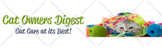 design a professional website banner ads headers, web images