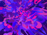 make amazing psychedelic illustration for music album cover