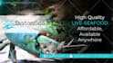 design modern and professional PPT presentation