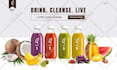 design wix landing  page or wix website or redesign wix