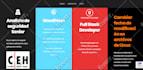 develop a wix website , wix website design and wix ecommerce