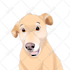draw your pet portrait into cute disney style