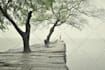 create rain video with natural sound in a cozy room