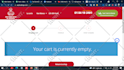 create a simple but professional wordpress website