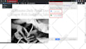 setup google analytics 4, tag manager, search console and facebook pixel