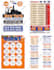 design a professional brand logo design