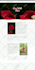 build, design or redesign wordpress website, rebuild wordpress elementor website