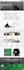 build modern and responsive wordpress website design