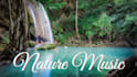 create 15 meditation relaxing nature video for youtube