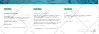 resolve critical wordpress errors swiftly in 24 hours