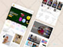 build professional responsive wordpress website design or blog