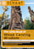 format ebook and create the cover for it