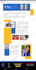 design or revamp wordpress website with elementor pro