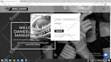build, install, fix and customize your wordpress website
