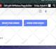 build clean and responsive seo optimized wordpress website