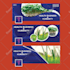 create a facebook cover photo banner design