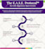create custom infographic charts and data visualization for your business