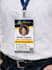 do urgent bifold or trifold brochure design, leaflet, flyer design