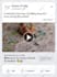 setup shopify facebook ads, instagram ads campaign, fb advertising, fb marketing