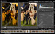cull, edit, batch process wedding and event photos, pure color