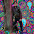 do any type of photoshop editing very quickly
