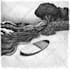 create a beautiful ink illustrations for your project
