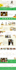 shopify website design, build shopify website, shopify store design, ecommerce