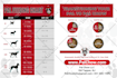 design professional real estate postcard