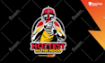 design sports mascot, cartoon or logo for your team, event, tournament, league