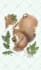 draw a scientific illustration