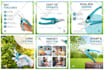 design amazon premium a plus content, ebc and listing images