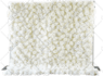 simple and complex image background removal for buyer transparency