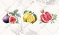 paint any fruit or vegetable with watercolors