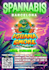 create cool, unique illustrated flyers and brochures