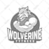 design animal mascot logo for your brand