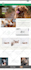 landing page, clone, copy or duplicate any website using elementor