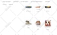 do wordpress customization and demo upload