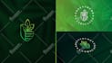 do boho hand drawn and botanical feminine logo design for your brand