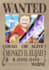 draw you a one piece wanted poster