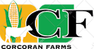 do vector tracing, logo, image, vectorize, recreate, redraw asap
