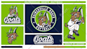 design custom cartoon mascot logo for your sports team, brand, club or college