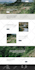 develop squarespace website design or redesign squarespace and landing page