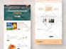 design and develop a professional wordpress website design