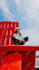 edit your photos in lightroom