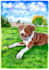 draw watercolor pet portrait