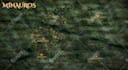 create a professional fantasy map
