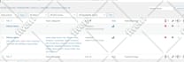 develop custom plugins, widgets and wordpress themes