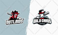 design mascot logo for school, college or sports team