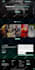 build a responsive modern wordpress website design